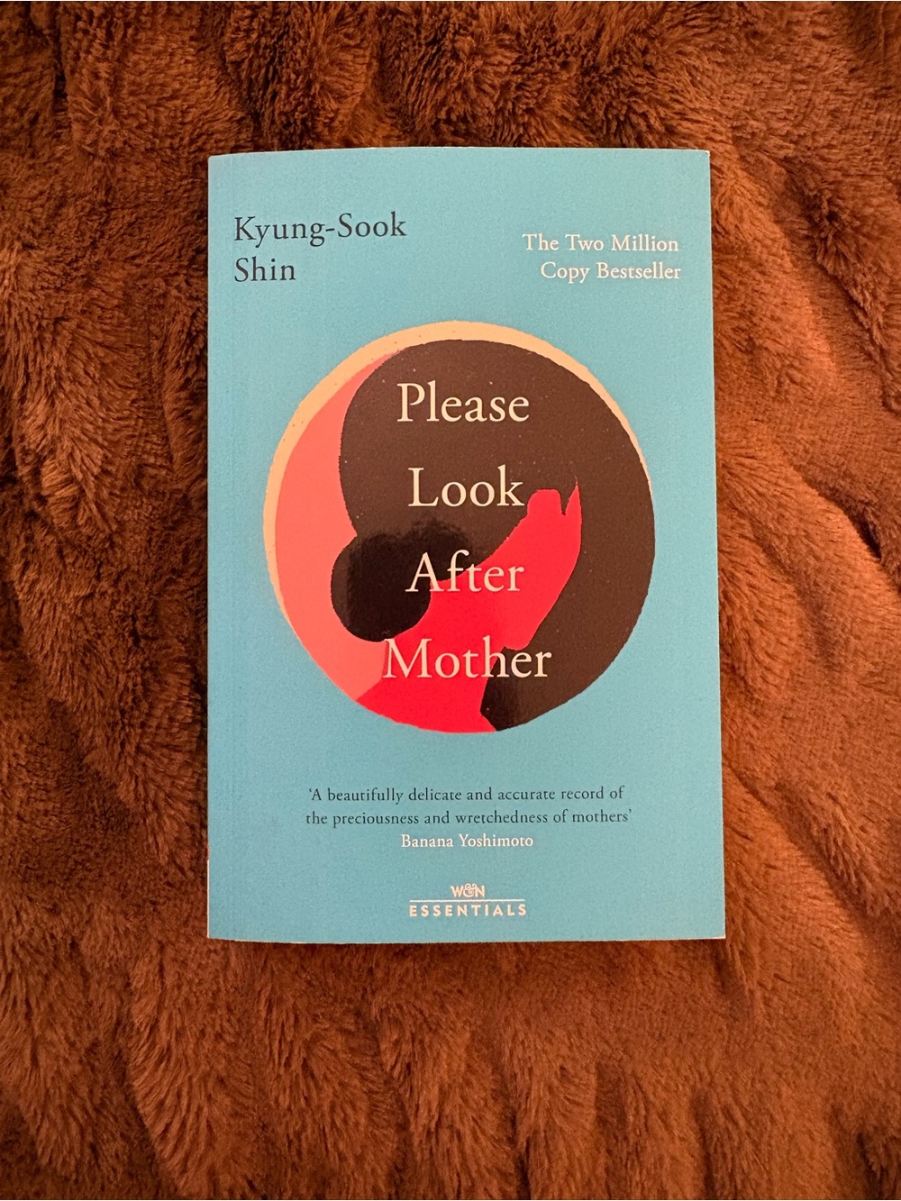 Please Look After Mother by Kyung-Sook Shin